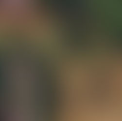 Christmas Wreath Making Workshop