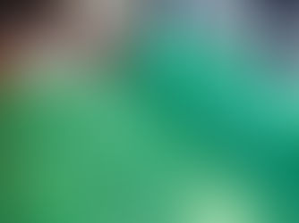 Case Study - Flooded Restaurant