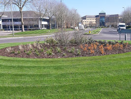 Roundabout Grass Improvements