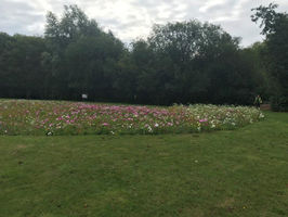 A Site of Special Scientific Interest