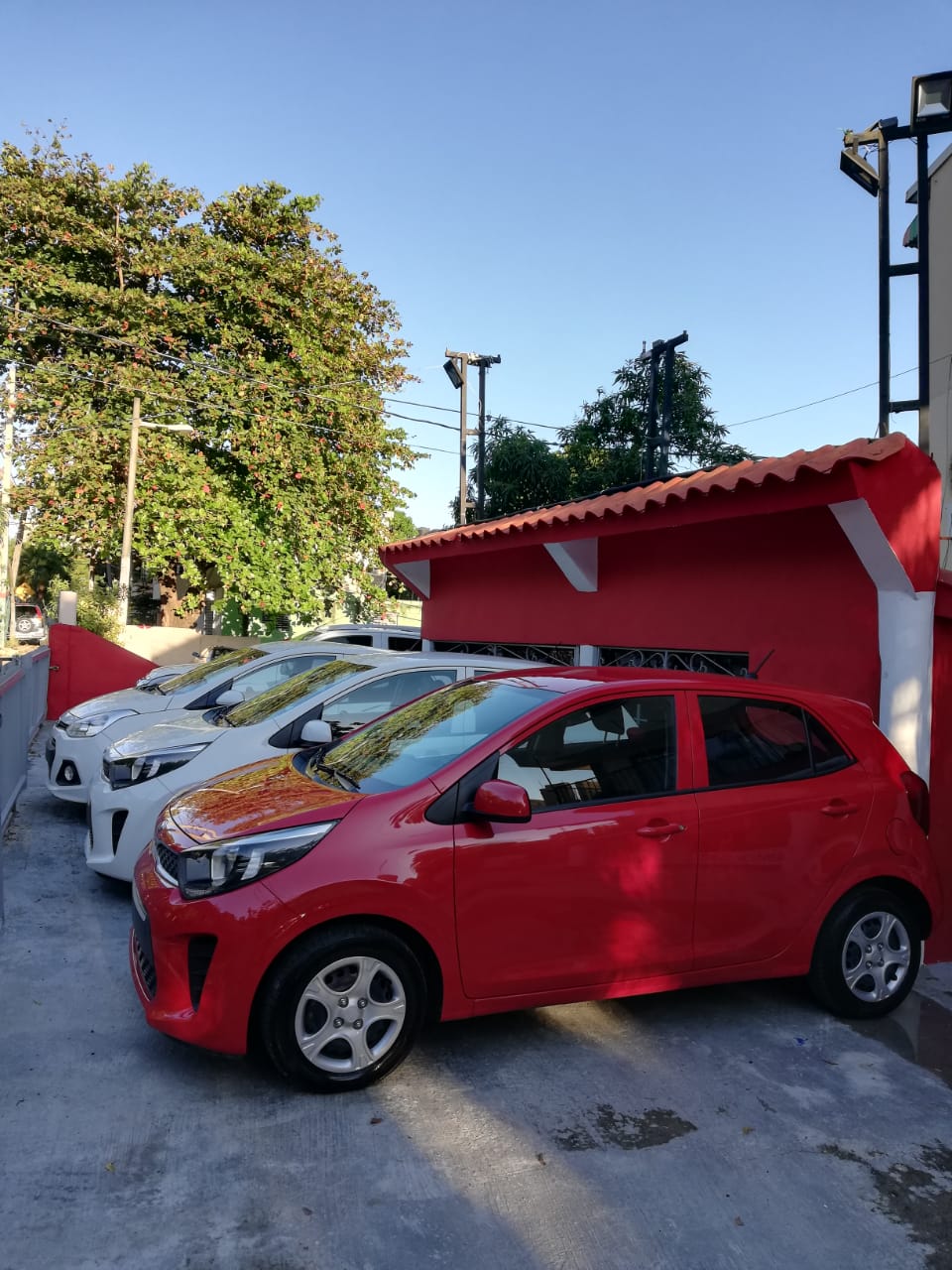 Rent Car Santo Domingo