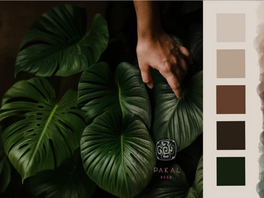 🌿 Trends: Towards the Natural | Transform Your Spaces with Earth Tones 🌾