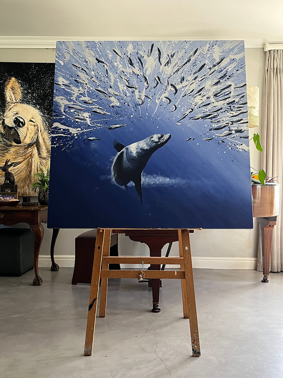 Thumbnail: SEAL - $2700 USD | R 45 000 | 1.2m x 1.2m