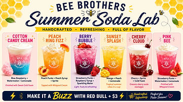SUMMER SODA LAB WIX.jpg