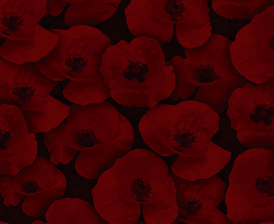 BuddyPoppy.gif