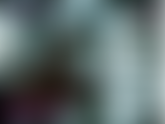 Unveiling the Illusion of Perfection: The Pursuit of True Happiness