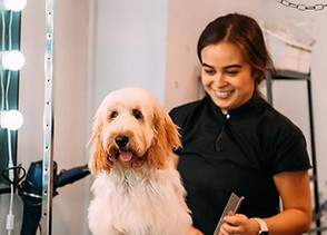 16c632a2-ec29-4d8c-aaff-8c910a5d0234 (1).JPG