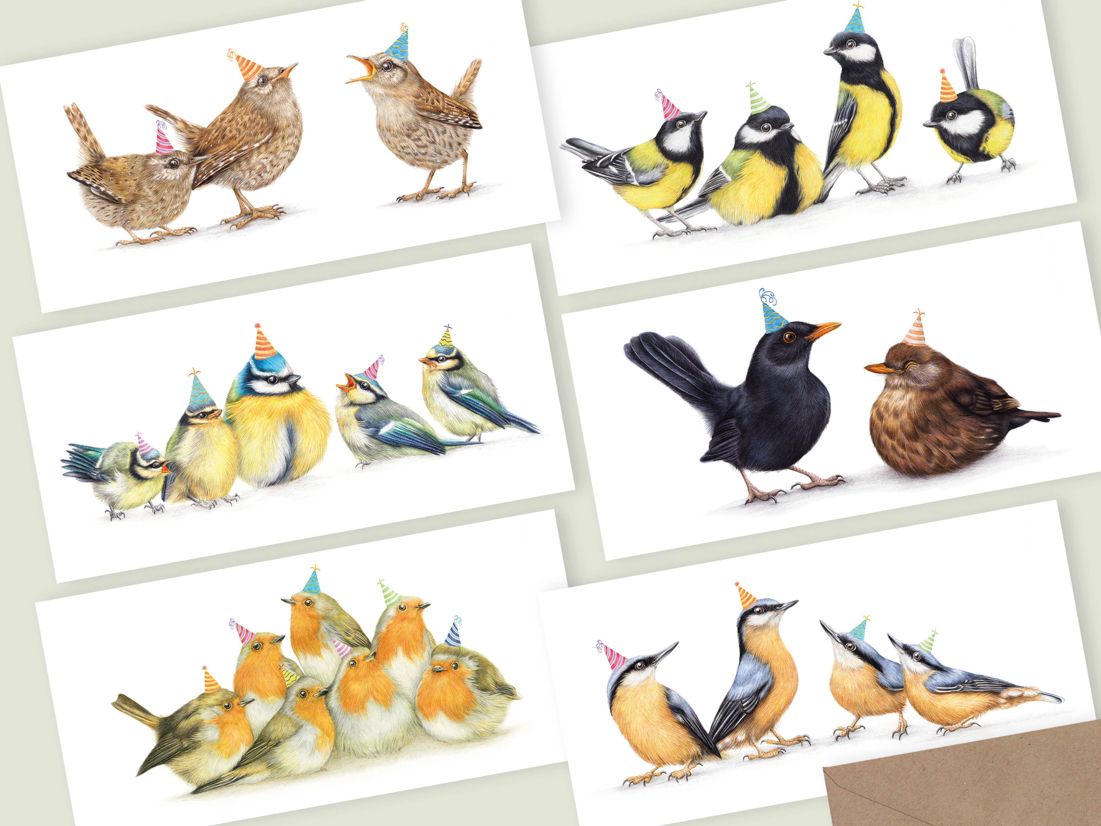 Garden Birds Birthday Cards, Bird Greeting Card, Set of 6