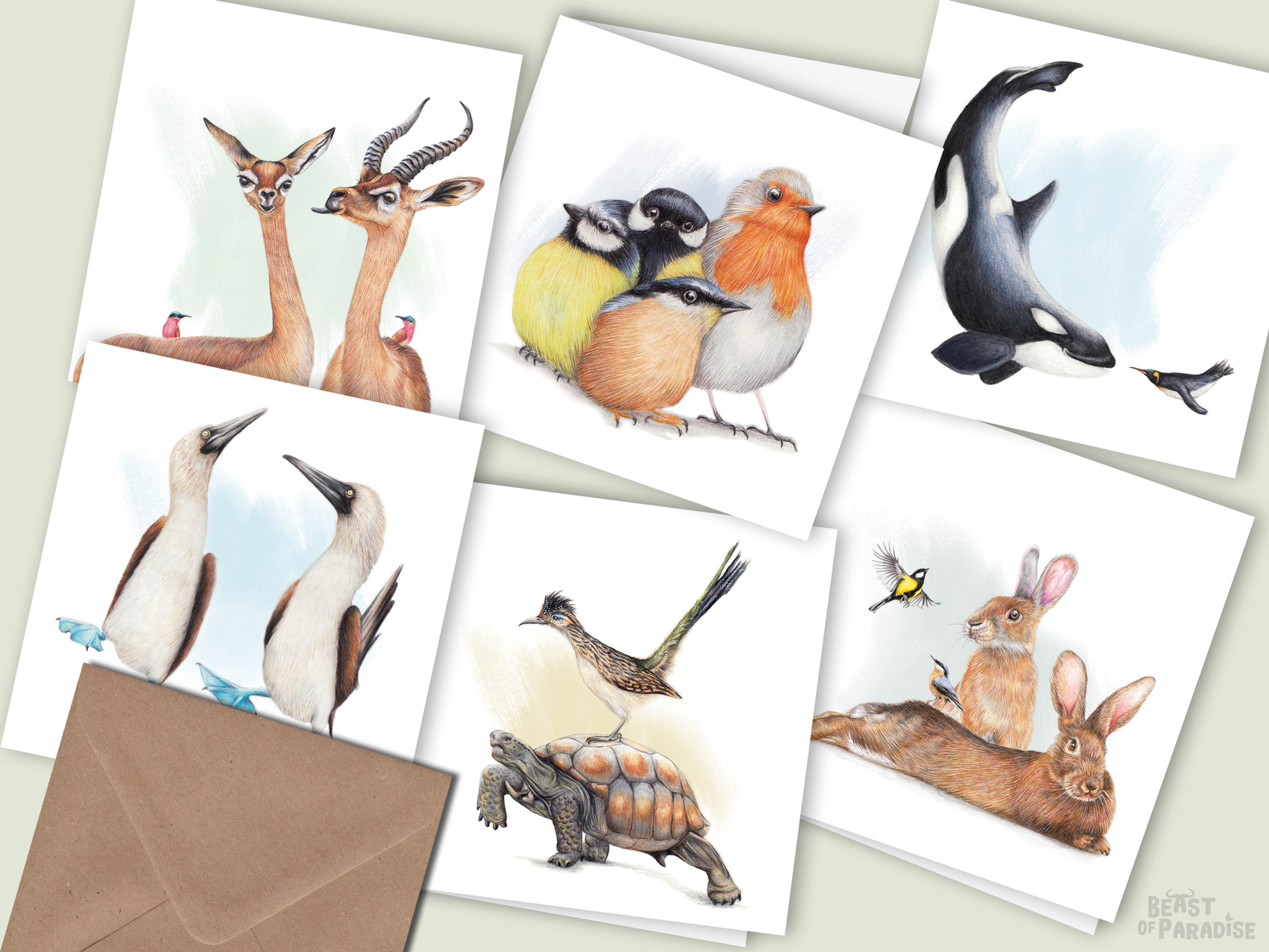 6x Funny Animal Cards, Set