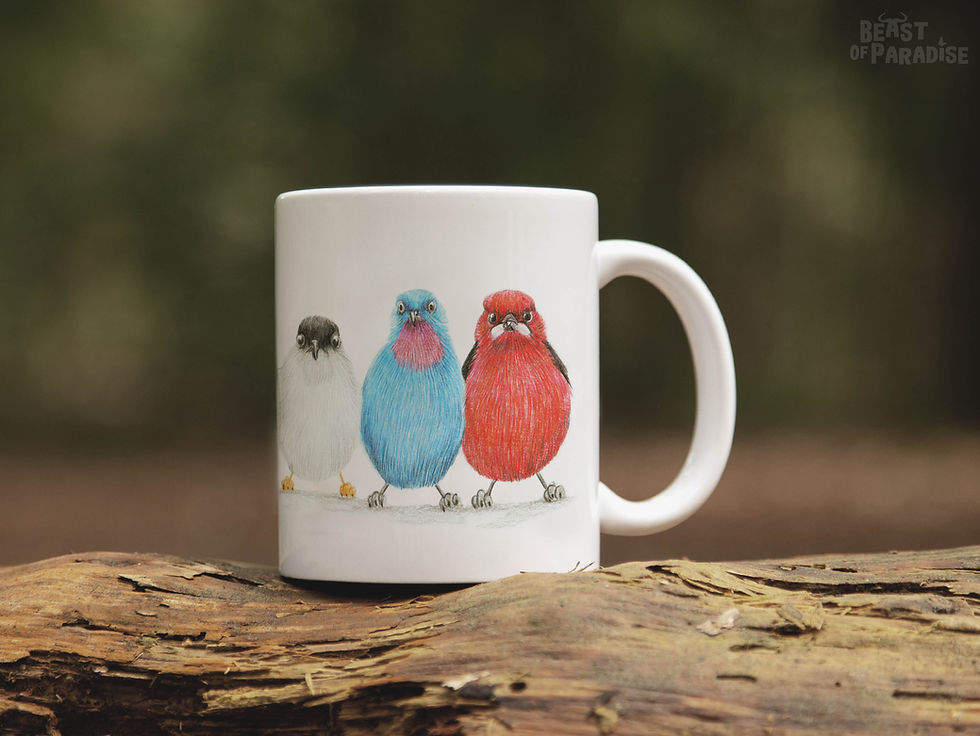 Thumbnail: Mok Zuid Amerikaanse Vogels (Cute Little Birdies)