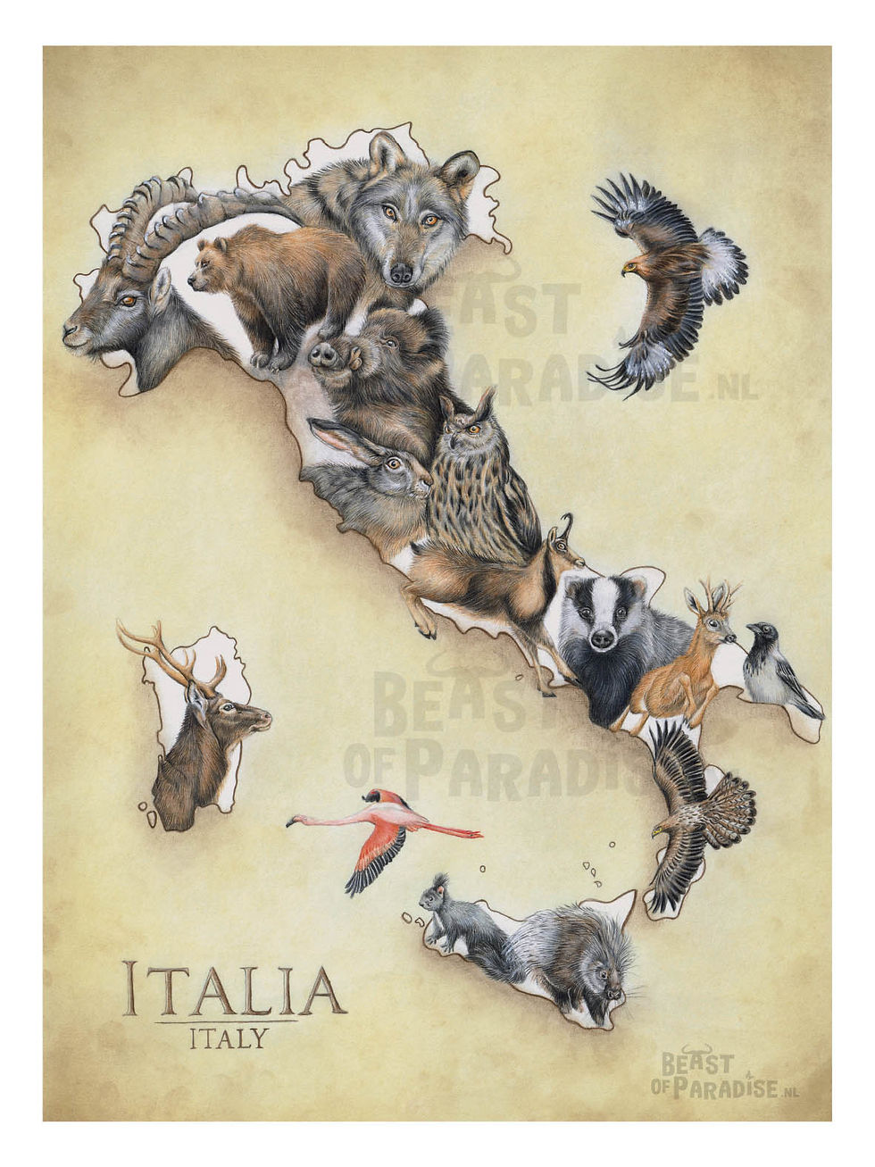 Thumbnail: Dieren van Italië, Landkaart