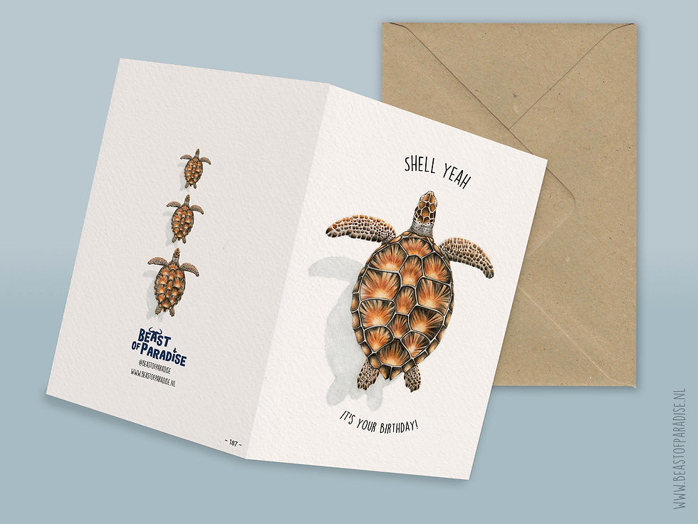 Thumbnail: Verjaardagskaart met Zeeschildpad