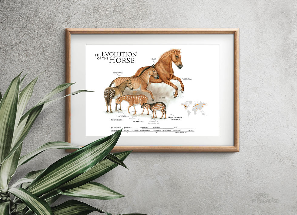 Thumbnail: The Evolution of the Horse, Scientific Poster
