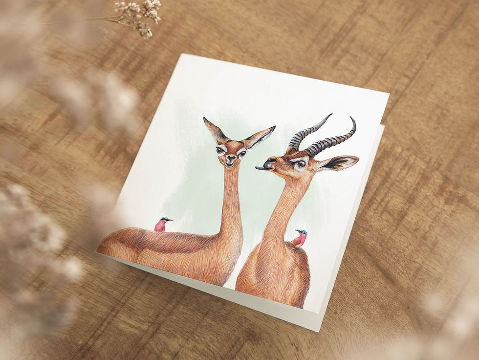 Thumbnail: 6x Funny Animal Cards, Set