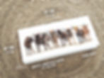 Thumbnail: Gnoe Verjaardagskaart, Wildebeest Wenskaart