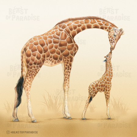 Laag 2 kopiëren 19.png