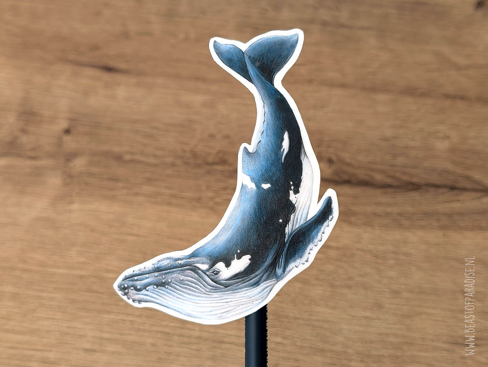 Thumbnail: Vinyl Stickers, Sticker Set, 7 Stickers, Creatures of the Deep
