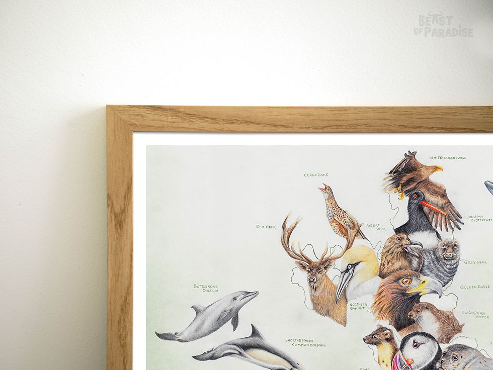 Thumbnail: Wildlife of hte Isle of Skye Poster, 30 x 40 cm