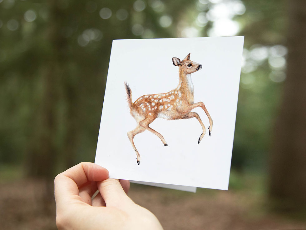 Thumbnail: 6x Leuke Dieren Kaarten, Set