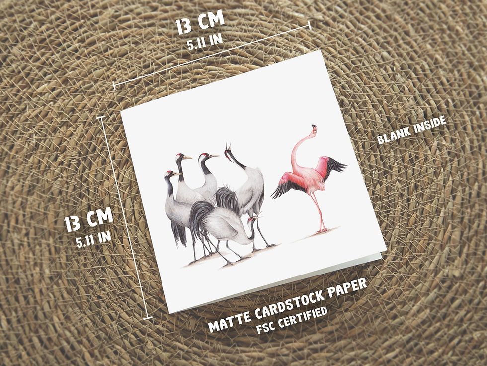 Thumbnail: Flamingo en Kraanvogels, Wenskaart