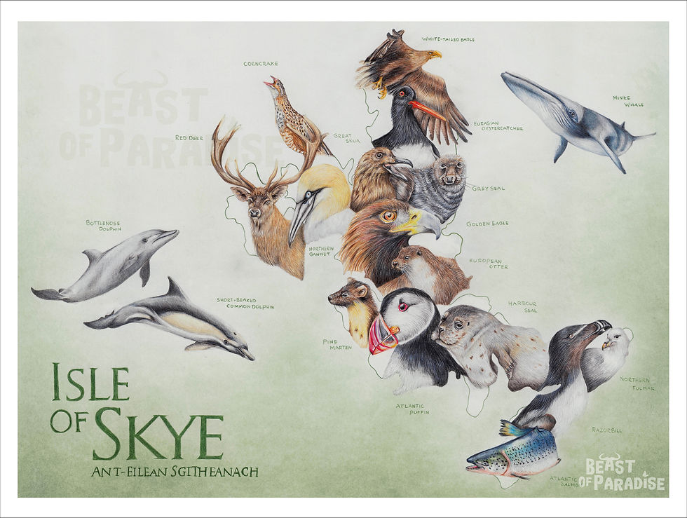 Thumbnail: Wildlife of hte Isle of Skye Poster, 30 x 40 cm