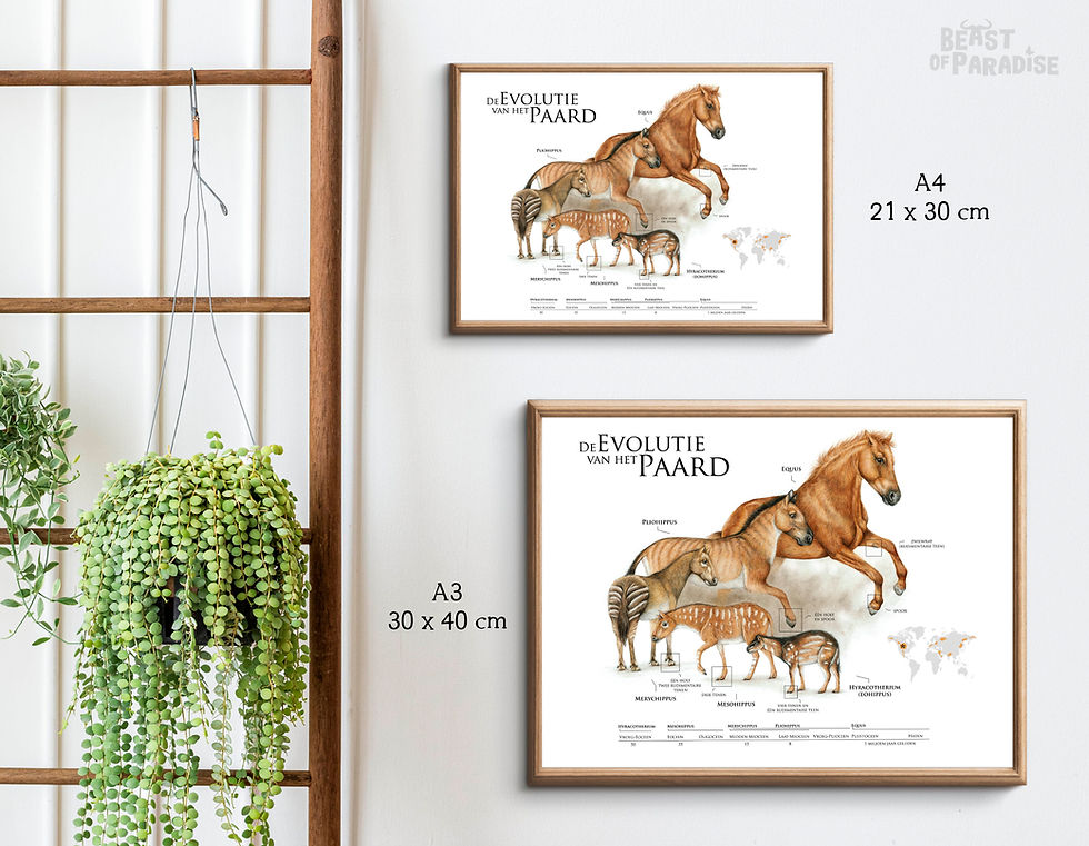 Thumbnail: The Evolution of the Horse, Scientific Poster