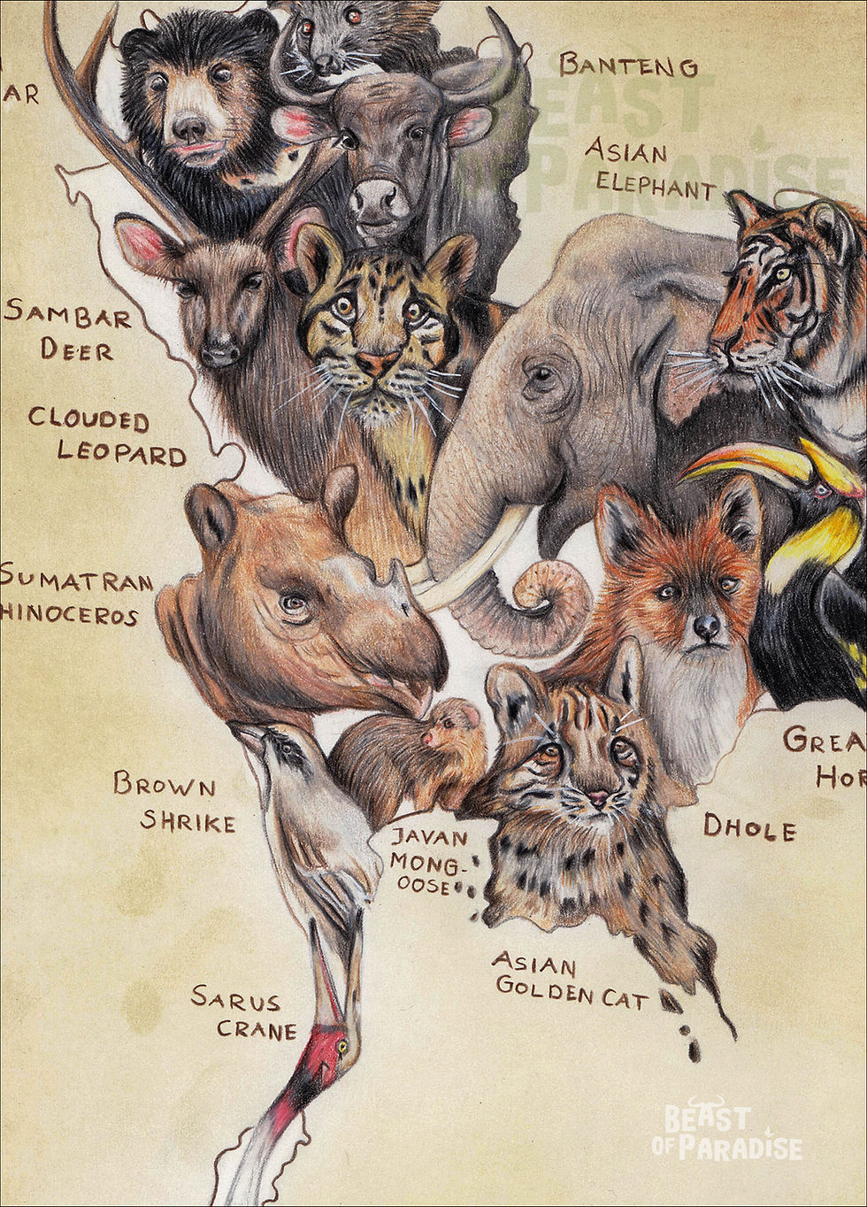 Thumbnail: Dieren van Thailand, 30x20 cm