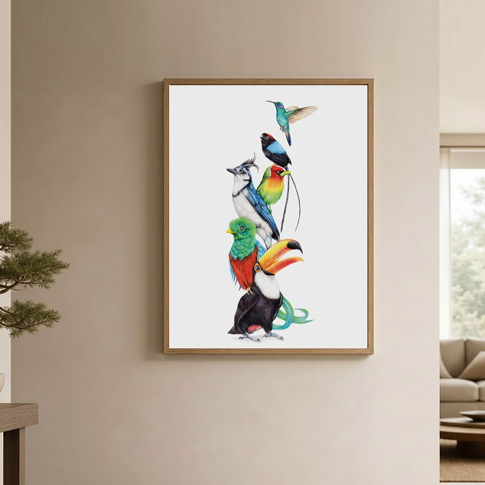 Thumbnail: Birds of Costa Rica, 30x40 cm