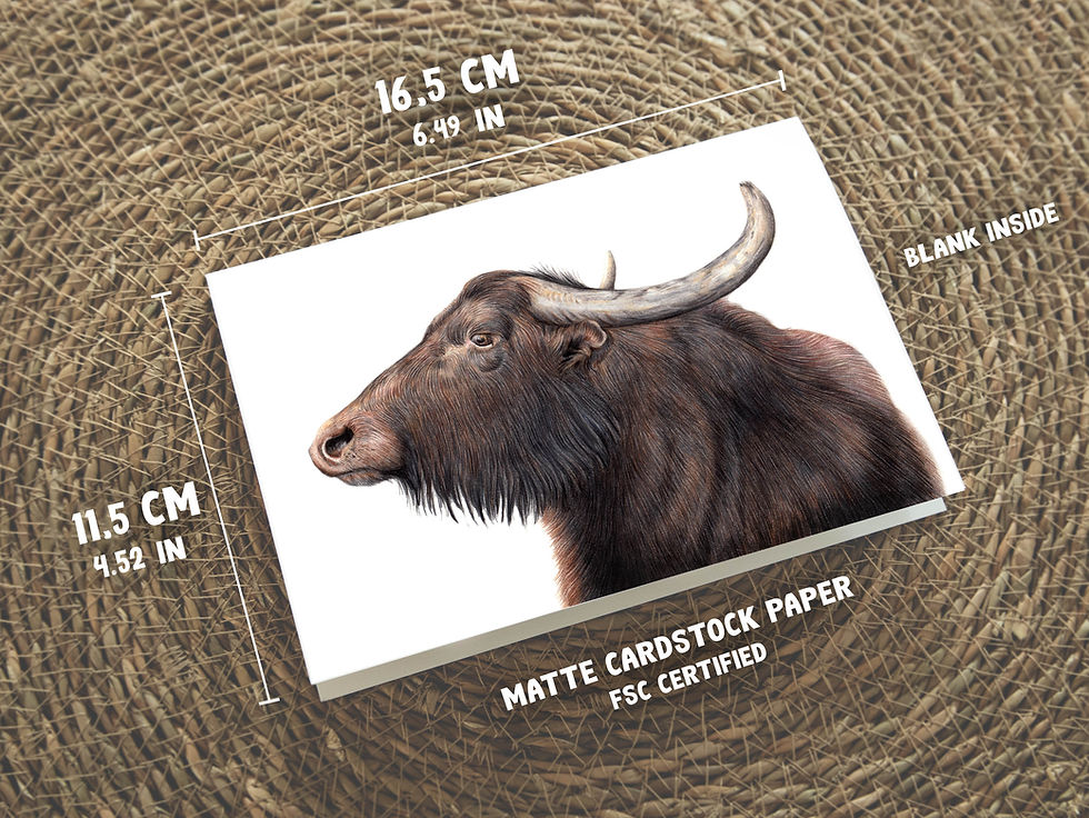 Thumbnail: Waterbuffels, Wenskaart