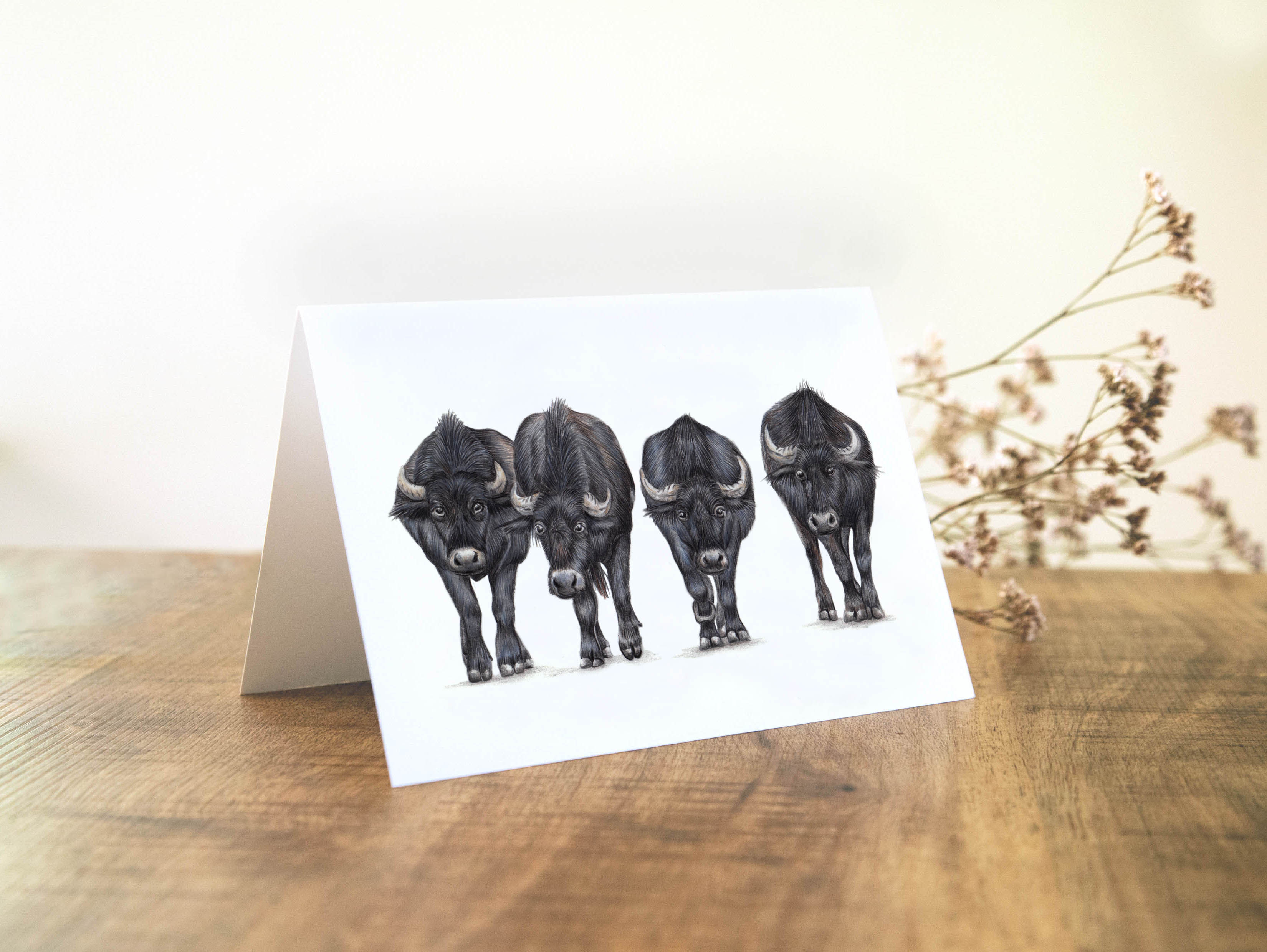 Waterbuffels, Wenskaart