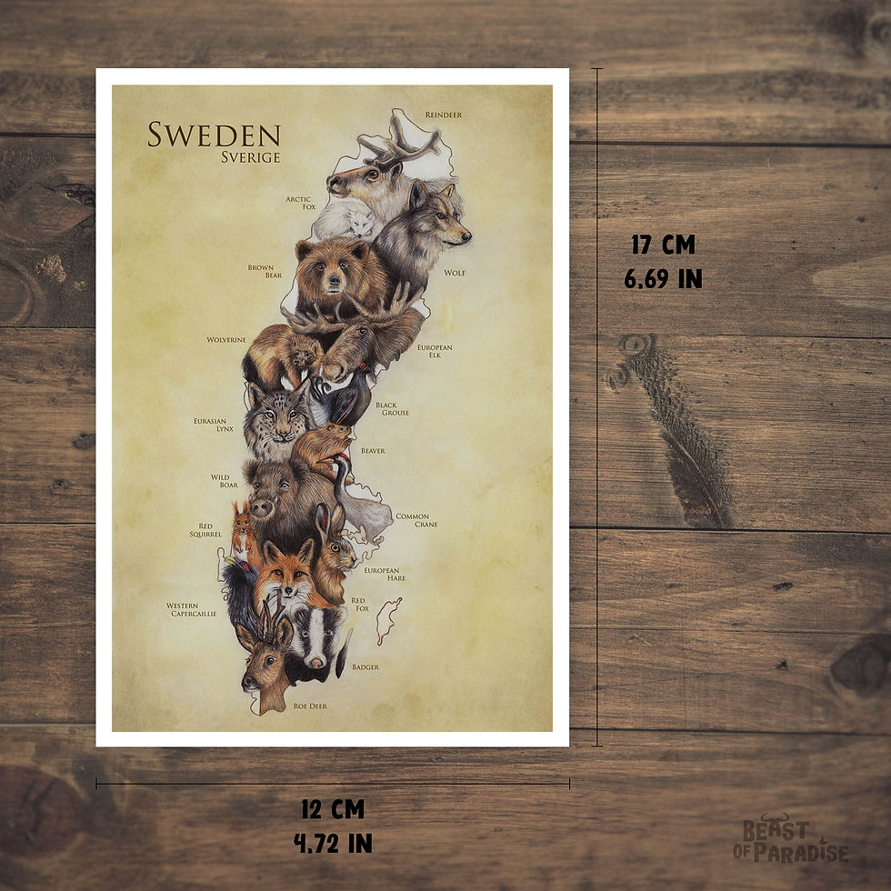 Thumbnail: Ansichtkaart Zweden, Dieren Landkaart
