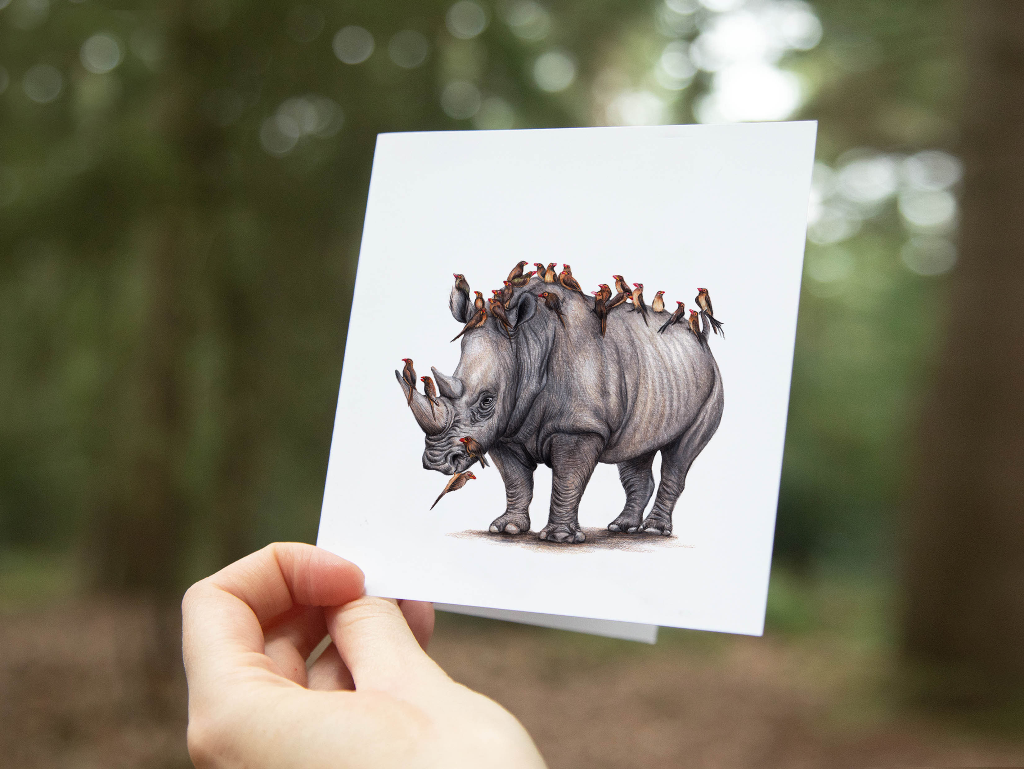 The Rhinos Guard, Neushoorn, Wenskaart