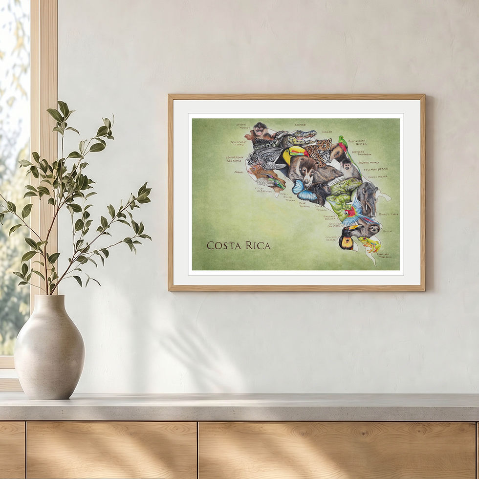 Thumbnail: Wildlife of Costa Rica, 30 x 40 cm