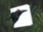 Thumbnail: 6x Kerstkaarten met Vogels, Kaarten Set