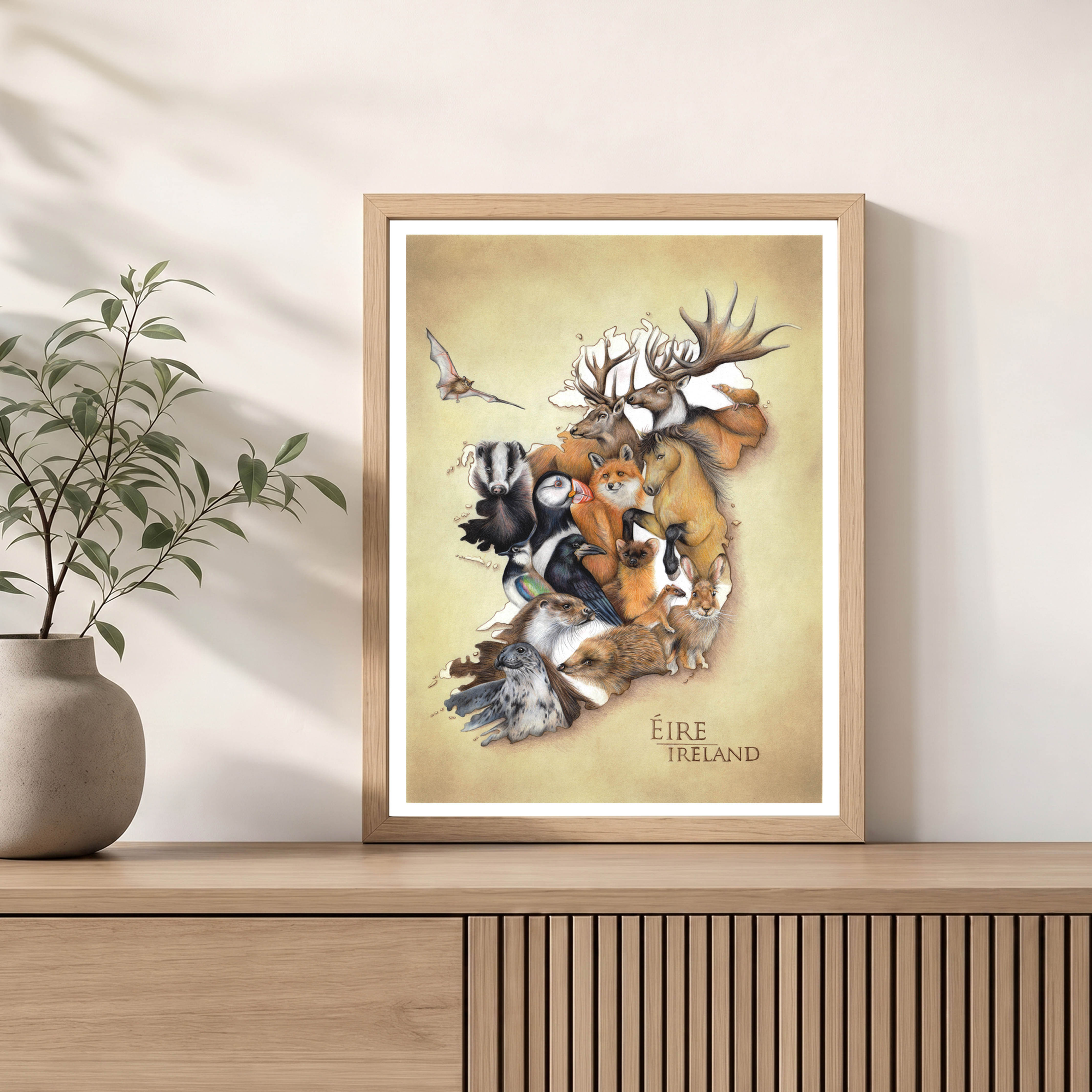 Dieren van Ierland, Landkaart