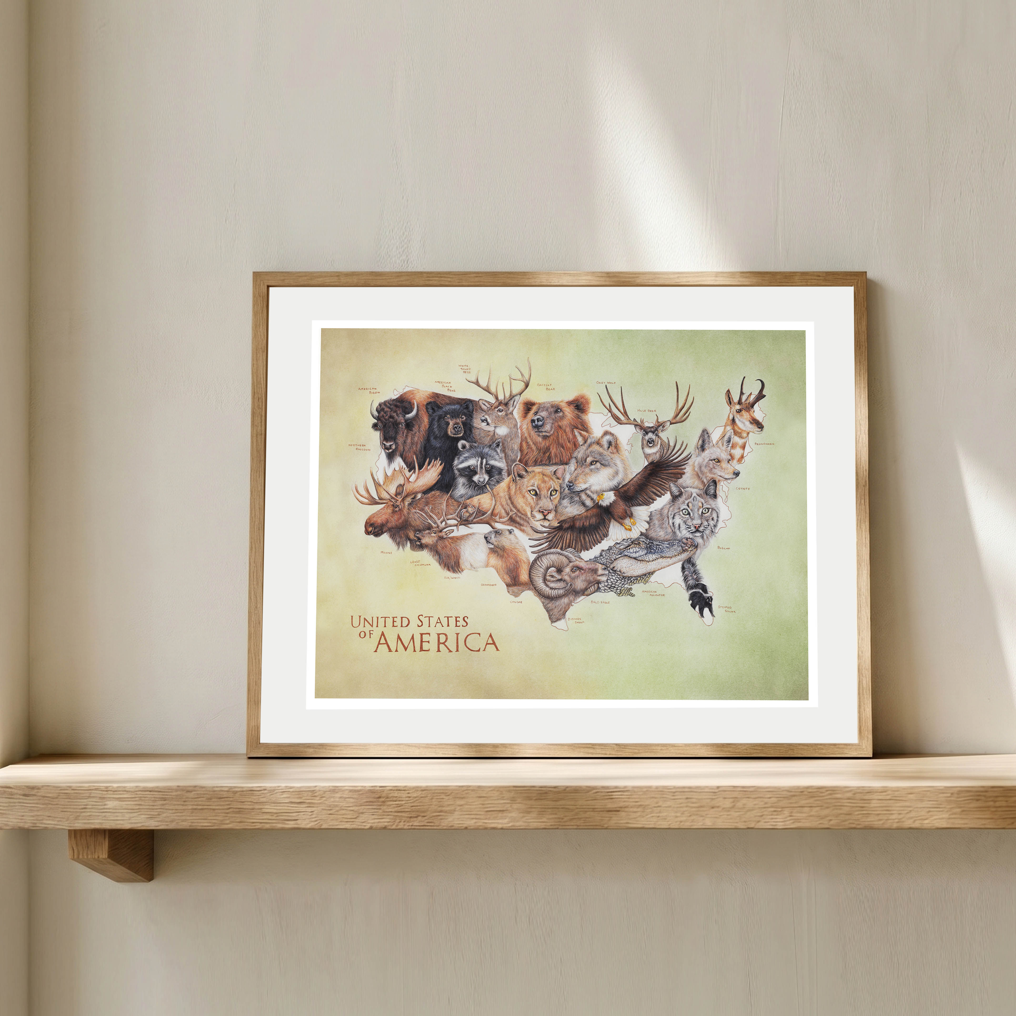 Wildlife of the United States of America, 30 x 40 cm