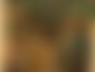 Bonk Breakdown - Nutrition Strategies from the Trans North Georgia Adventure (TNGA)