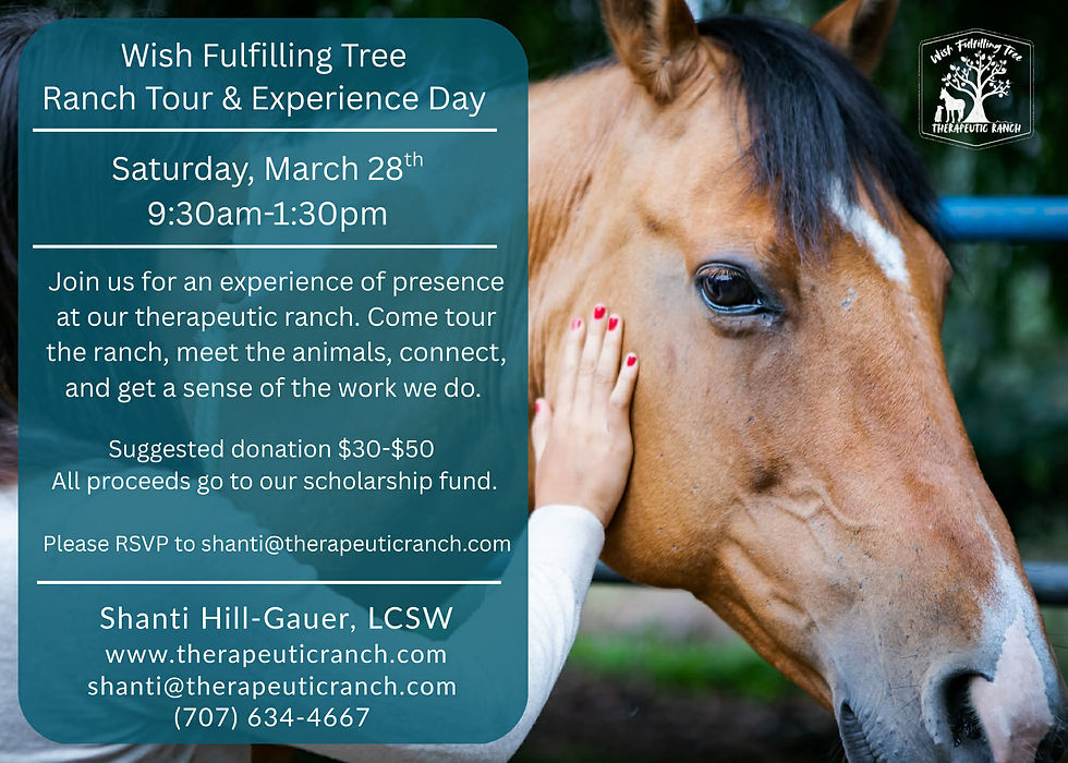 Wish Fulfilling Tree  Ranch Tour & Experience Day