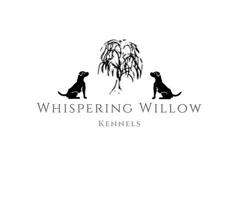 23905504_1255681581227391_33939688368616