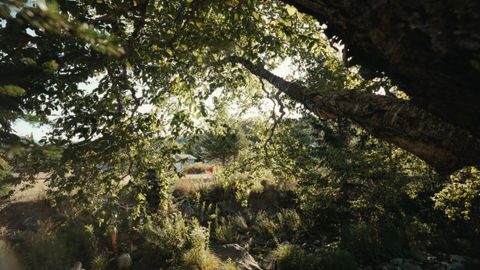 Footsteps & Flavours of Fundy