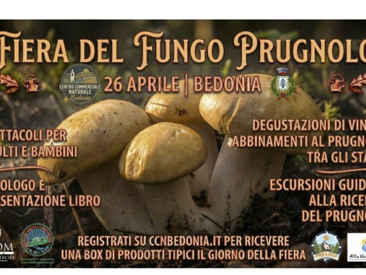 FIERA DEL PRUGNOLO BEDONIA 2026