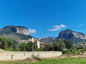 20260403_120005.jpg