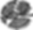 bird-145714_1280.png