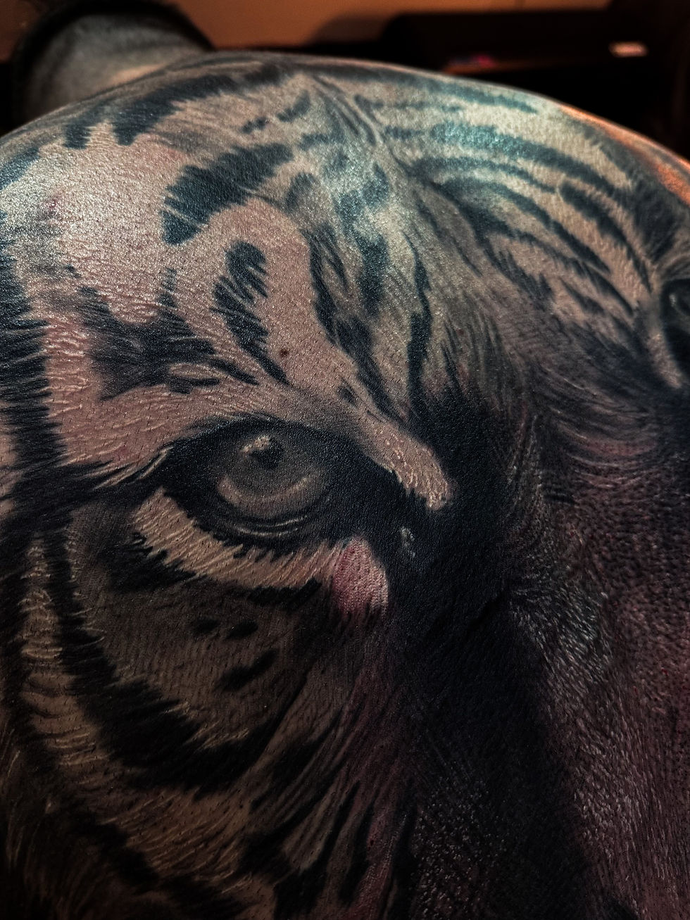 Costas Tigre