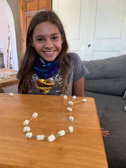 Marshmallow Zodiac Constellation