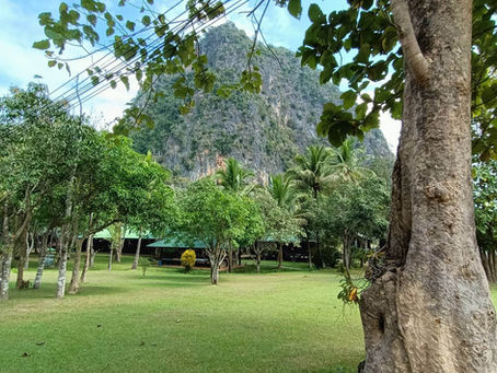 Unveiling the Inner Self: A Journey Through Vipassana Meditation at Wat Pa Tam Wua Forest Monastery