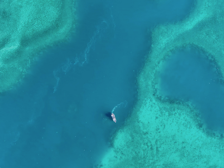 We got trapped and deserved it