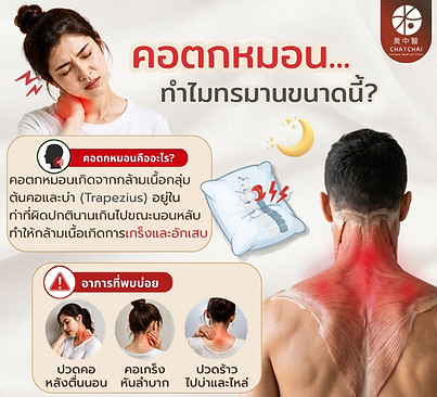 คอตกหมอน1