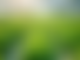 Leafy Hydroponic Farm