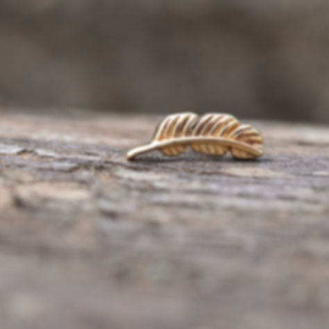 6mm Solid Yellow Gold Feather Threadless 14k 